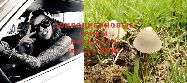 молекула духа Волоколамск