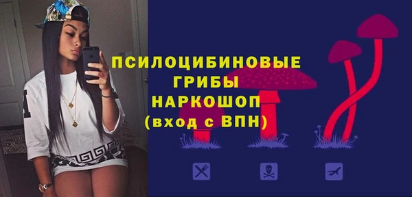 молекула духа Волоколамск