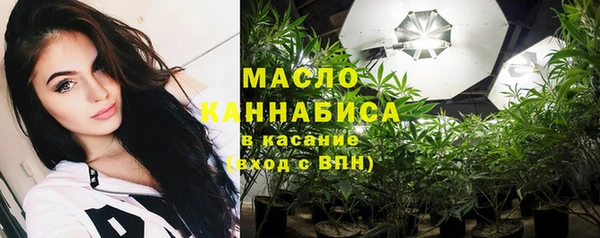 молекула духа Волоколамск