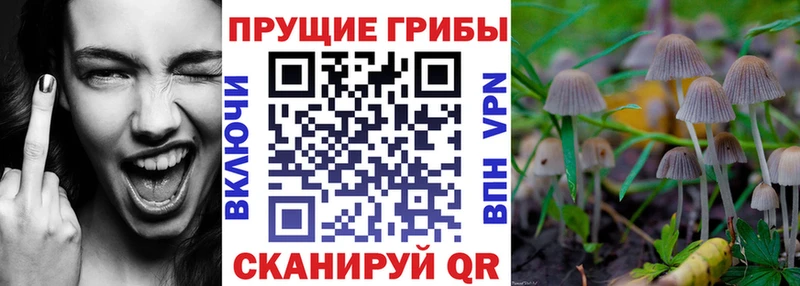 Галлюциногенные грибы мицелий  купить  сайты  Рузаевка 